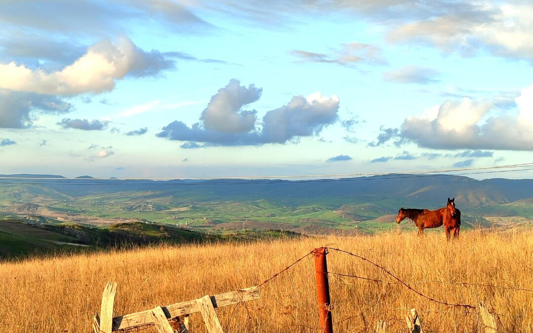 La Via Francigena